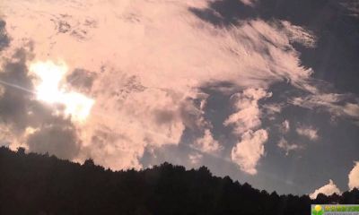 2019年3月31号凌晨出生的女宝宝如何取一个适合宝宝的名字