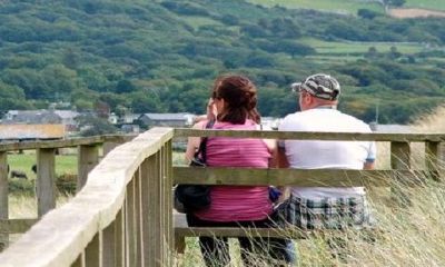 猪遇龙食无限代表什么意思