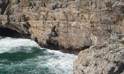 男蛇女猪确实不能在一起吗