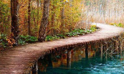 2019年3月22号凌晨出生的女宝宝取名字时有哪些注意事项