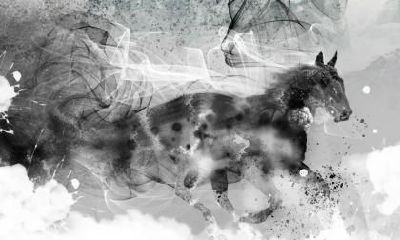 2019年属马的人财运好不好？旺财方位是哪边？