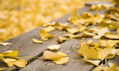 秋分太阳几点落山？秋分天气还热吗？