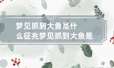 梦见抓到大鱼是什么征兆梦见抓到大鱼是什么征兆