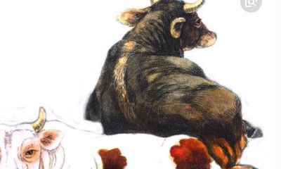 属牛的几月出生最好，属牛的3月出生好吗？