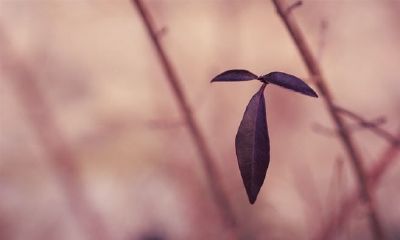 姓哈女孩有寓意的名字大全