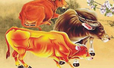 2018年属牛的人在各个方面运程如何