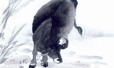 属牛的几月出生最好，属牛的12月出生好吗？