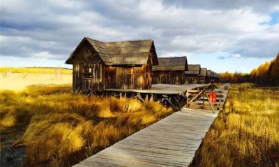 狗年姓华女孩名字大全 属狗华姓女宝宝起名2018