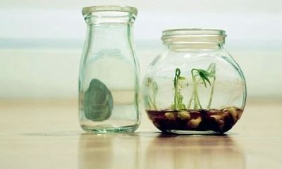 狗年姓施女孩名字大全 属狗施姓女宝宝起名2018