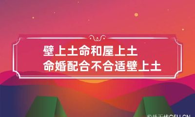 壁上土命和屋上土命婚配合不合适 壁上土命跟什么命配