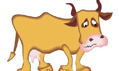 不同年份的牛在2018年运势是什么样子的