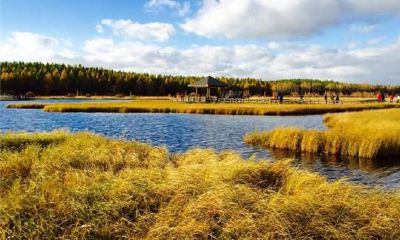 狗年姓曹女孩名字大全 属狗曹姓女宝宝起名2018