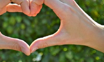 2023年哪些生肖易添子