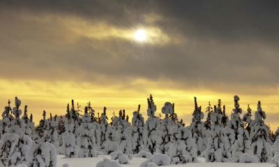 狗年姓谢女孩名字大全 属狗谢姓女宝宝起名2018