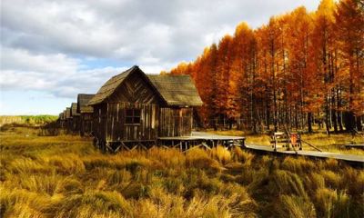 狗年姓孔女孩名字大全 属狗孔姓女宝宝起名2018
