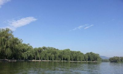 公历2019年3月26号丑时出生的女宝宝该怎么起名，宜用字又有哪些