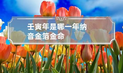 壬寅年是哪一年 纳音金箔金命