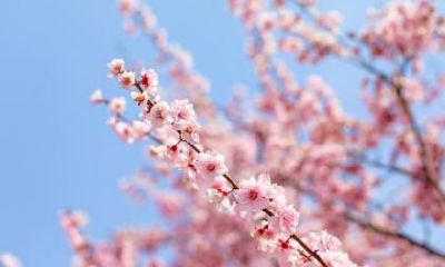 2022年立春出生的男孩好不好？这天出生性格怎么样？