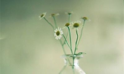 狗年姓昌女孩名字大全 属狗昌姓女宝宝起名2018