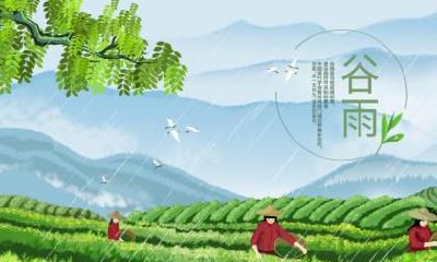 今年谷雨是几号？还有几天？