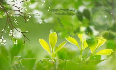 2022年立春是六九的第几天?立春不能回娘家吗？