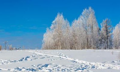 2021年农历十一月初四日大雪节气是黄道吉日吗？