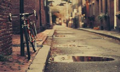 狗年姓戚女孩名字大全 属狗戚姓女宝宝起名2018