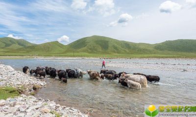 夏至出生的女宝宝起名带什么字好，用哪些字比较合适