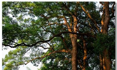 中元节下午出生的女宝宝如何起名字好