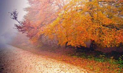 狗年姓乐女孩名字大全 属狗乐姓女宝宝起名2018