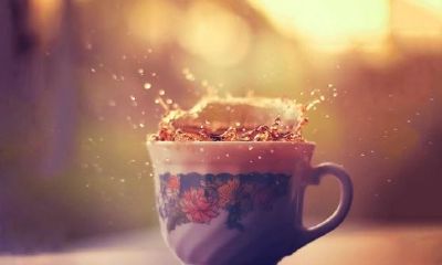 狗年姓蒋女孩名字大全 属狗蒋姓女宝宝起名2018