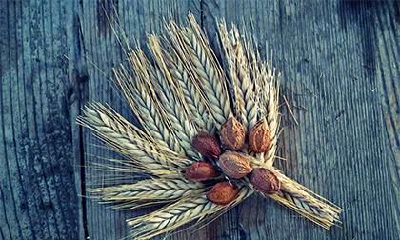 立春养生吃什么食物好？养生的六大原则