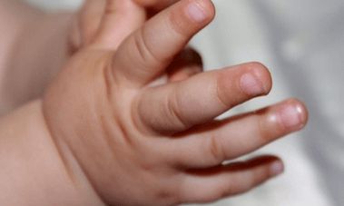 猪宝宝好听的乳名女孩