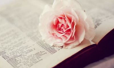 狗年姓顾女孩名字大全 属狗顾姓女宝宝起名2018