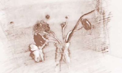 属牛人的择偶观