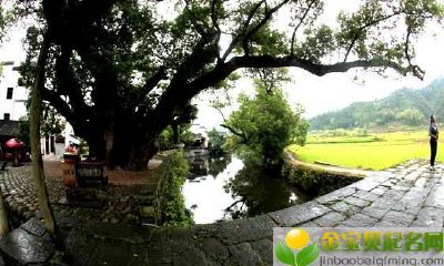 2019猪年中元节出生的女宝宝起什么名字好，五行属什么