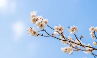 立春和春分的区别是什么？立春和开春是一个意思吗？