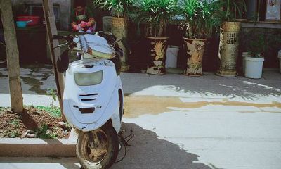 狗年姓祁女孩名字大全 属狗祁姓女宝宝起名2018