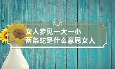 女人梦见一大一小两条蛇是什么意思 女人梦到两条一大一小蛇