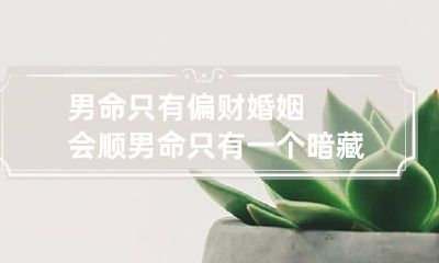 男命只有偏财婚姻会顺 男命只有一个暗藏偏财的婚姻