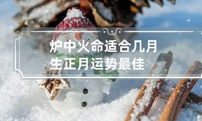 炉中火命适合几月生 正月运势最佳