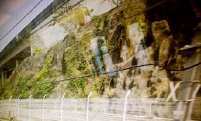 狗年姓湛女孩名字大全 属狗湛姓女宝宝起名2018