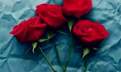 狗年姓董女孩名字大全 属狗董姓女宝宝起名2018