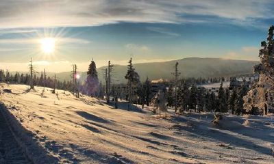 狗年姓茅女孩名字大全 属狗茅姓女宝宝起名2018