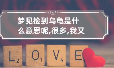 梦见捡到乌龟是什么意思呢,很多,我又全部把它放了