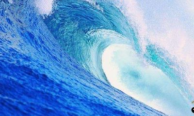 梦见大海浪非常大