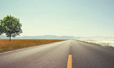 狗年姓熊女孩名字大全 属狗熊姓女宝宝起名2018