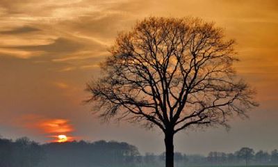 狗年姓平女孩名字大全 属狗平姓女宝宝起名2018