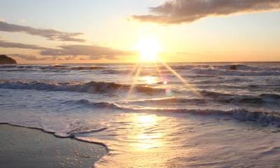 狗年姓毛女孩名字大全 属狗毛姓女宝宝起名2018