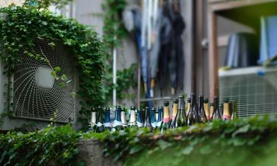 狗年姓戴女孩名字大全 属狗戴姓女宝宝起名2018